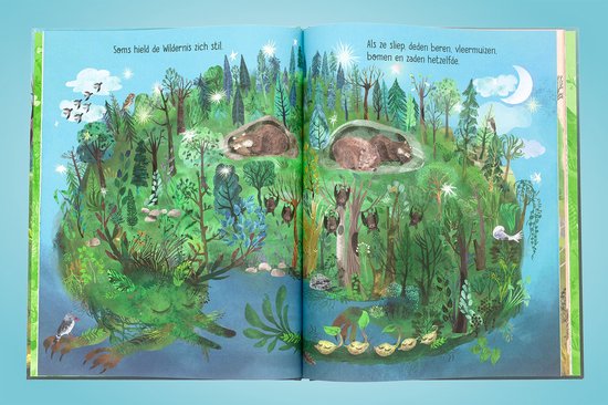De wildernis 4+