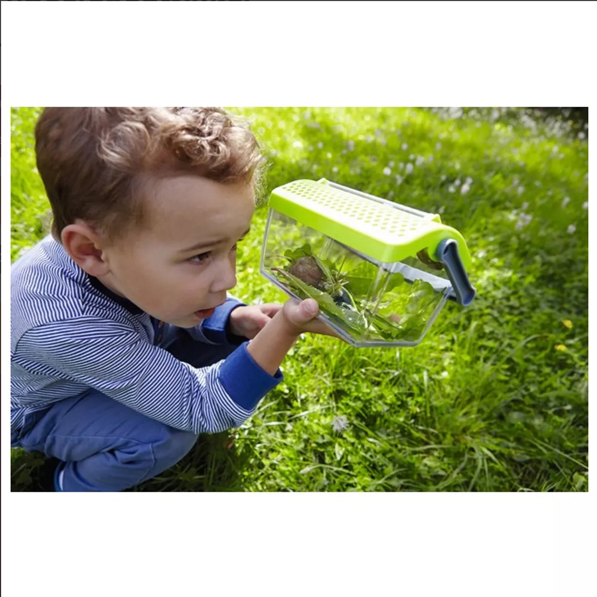 Terra Kids Insectencontainer
