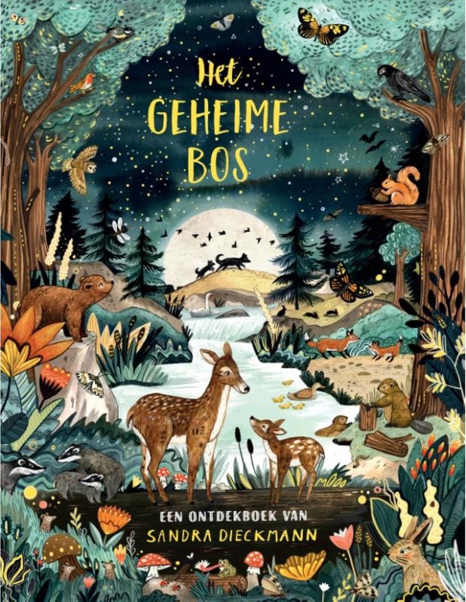 Het geheime bos - Sandra Dieckmann