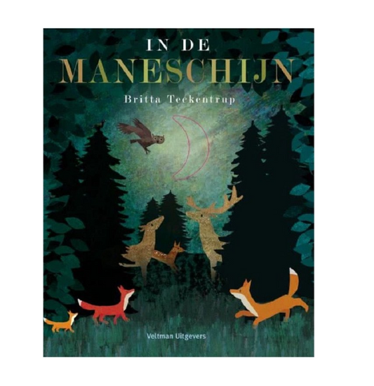 In de Maneschijn - Britta Teckentrup