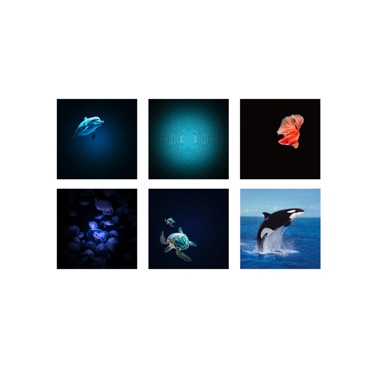 Kidywolf Kidystar HD Beeldprojector met 6 roterende schijven - Ocean - Zee