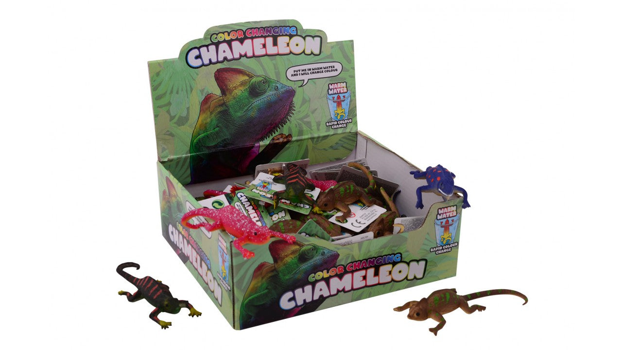 Kleur veranderende kameleon voor sensory play