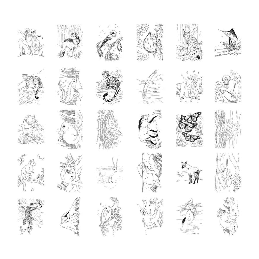 KidyWolf KIDYDRAW PAD Animals > 8 jaar