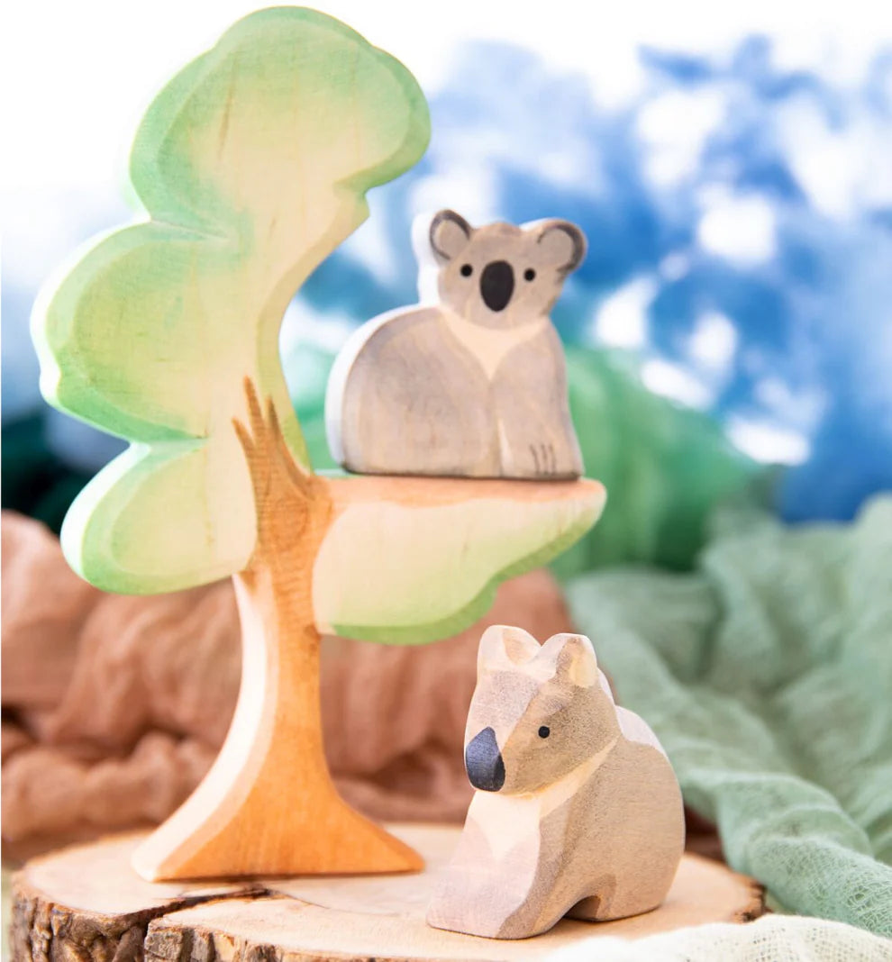 Ostheimer – Eucalyptus Boom ( 20610 )