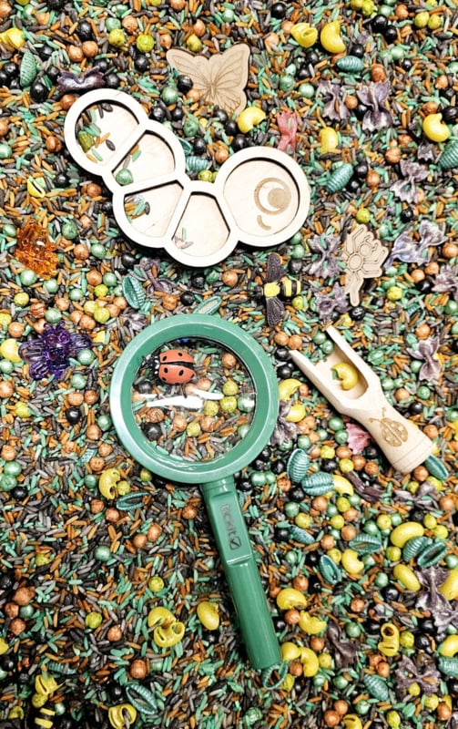 SensoryFun - PourAndPlay Insecten