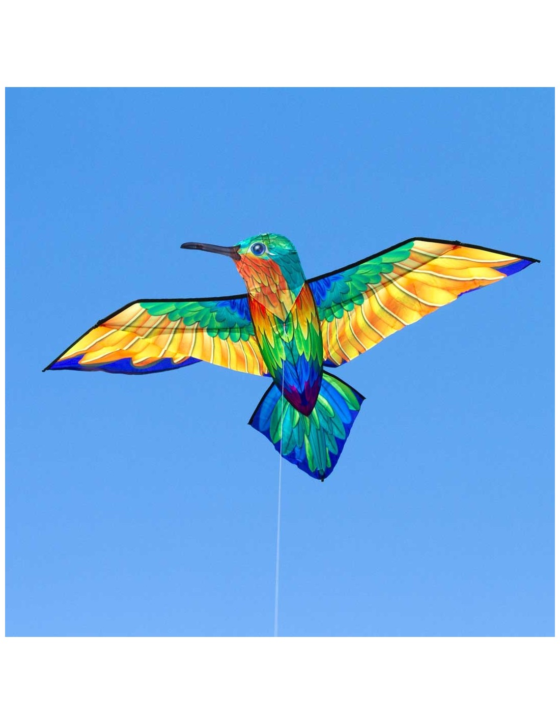 Ecoline Bird Kite Hummingbird - Kolibri vlieger