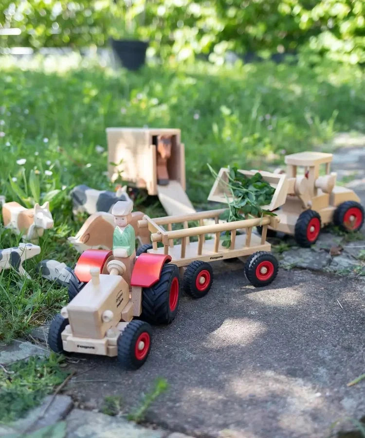Fagus X Ostheimer Tractor "Friends by nature"