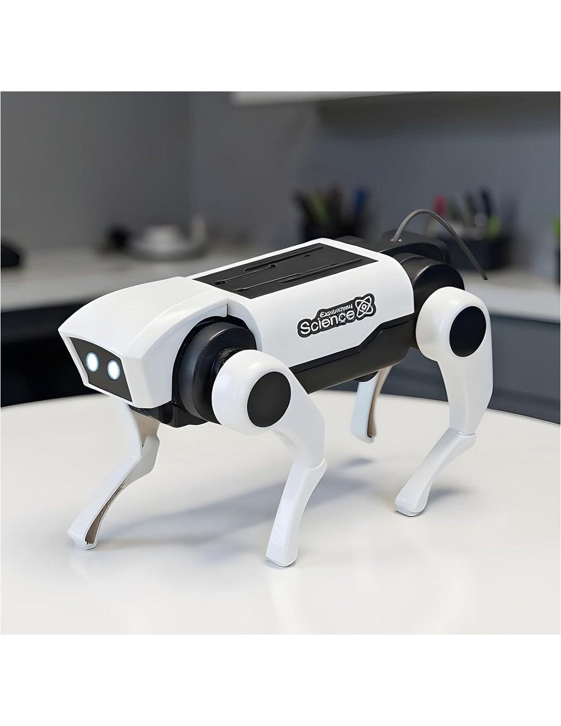 Satzuma - STEM - Robot Dog + Cat